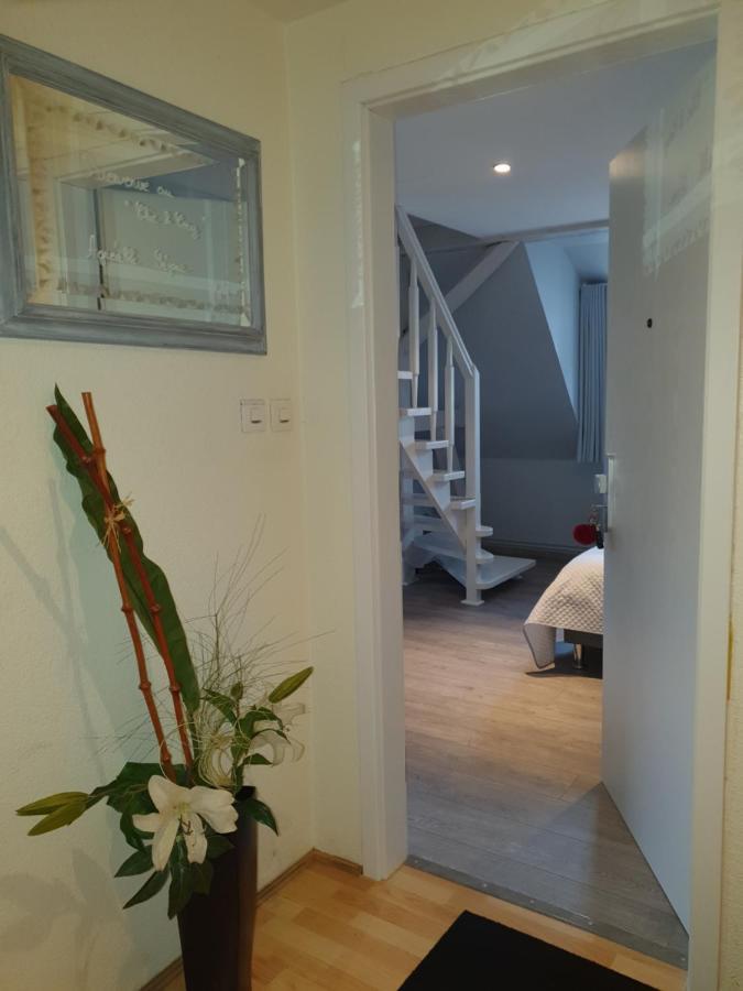Apartamento Chic & Cosy Haguenau Exterior foto
